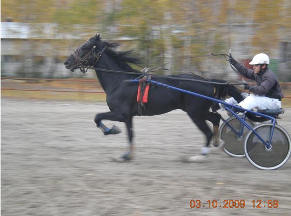 Александр Урубаев