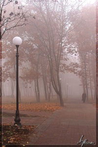 Илья Стрижак