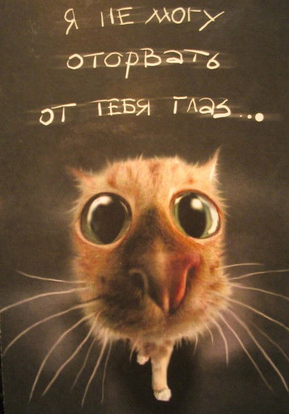 Влад Никитченко