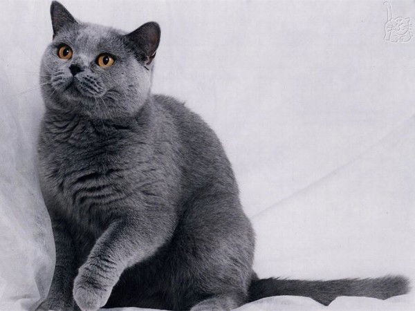 Сергей Крюк