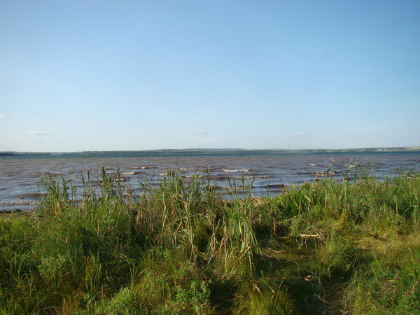 Олег Юсупов