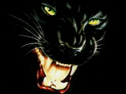 Александр Емельянов