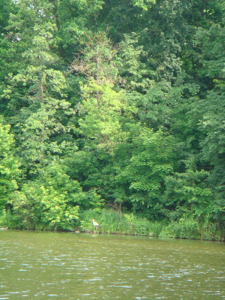 Светлана Побережная