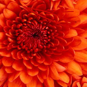 Татьяна Амралинова