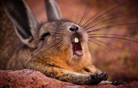 Наталья Сукач