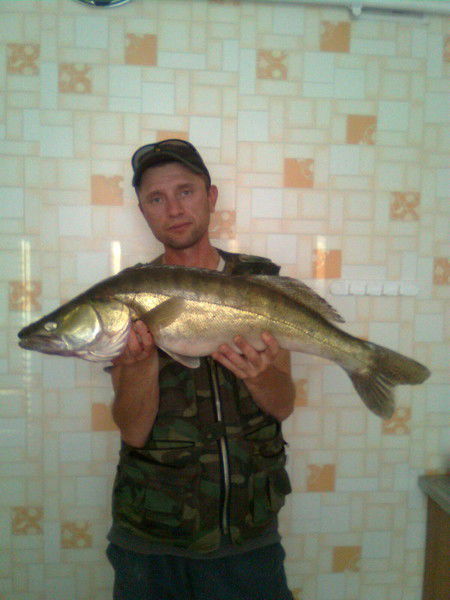 Петр Лашкевич