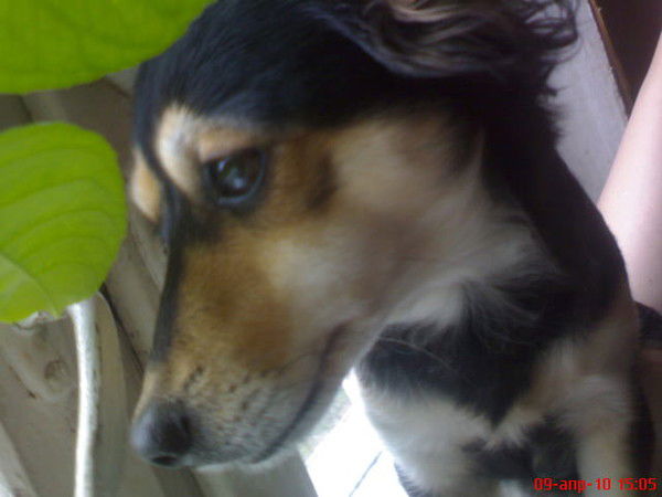 Наталия Бойко