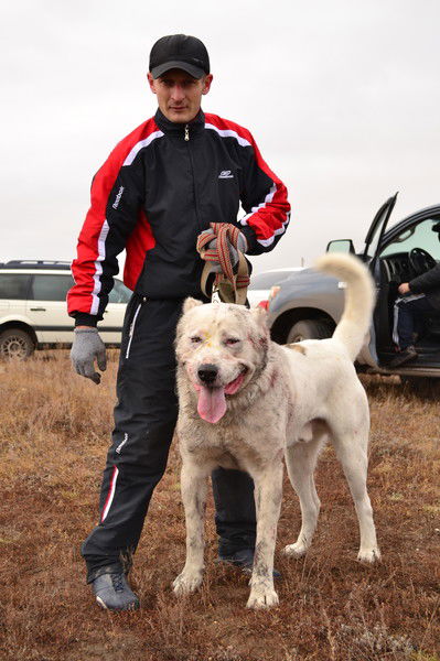 Максим Лебедев