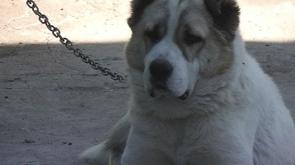 Митька ))))))))))