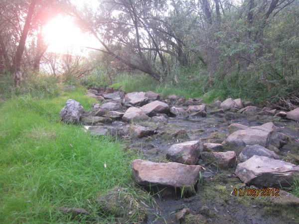 Ольга Коротовских