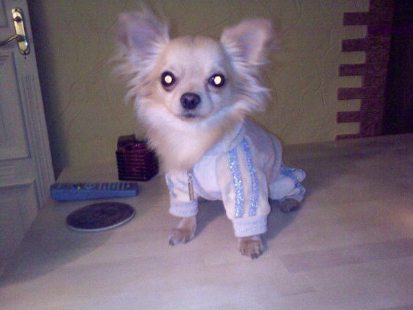 Валерий Елбаев