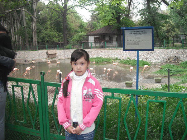 Диана Бейсембаева