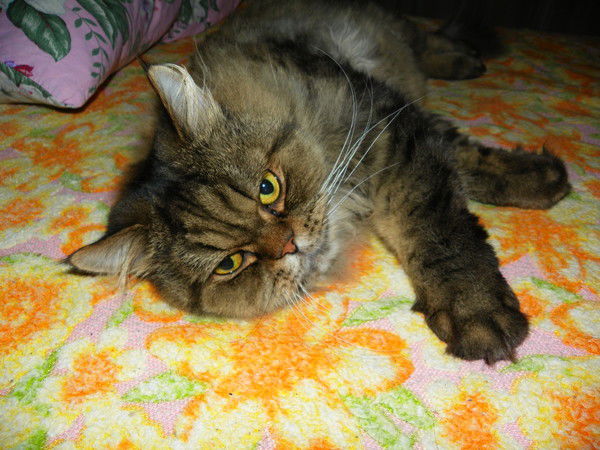 Марина Криницына