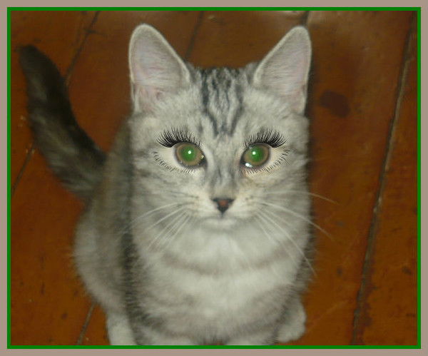 Светик Светлячок