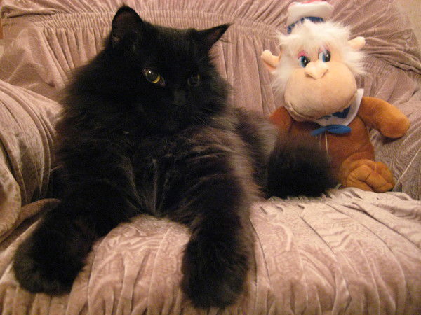 Алена Вышегородцева