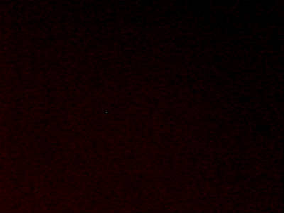 Олег Погодин