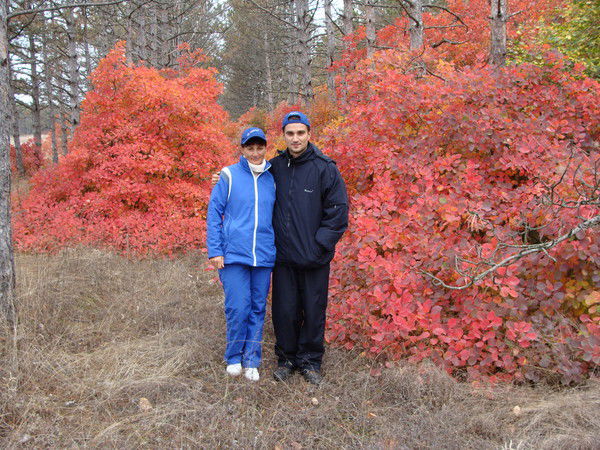 Светлана Щёлокова