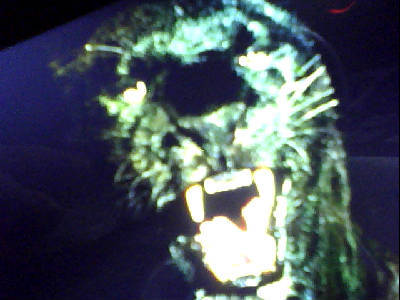 Геннадий Питюков