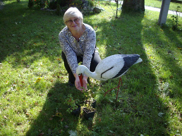 Надежда Пахомова