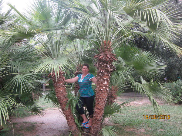 Вера Аралова