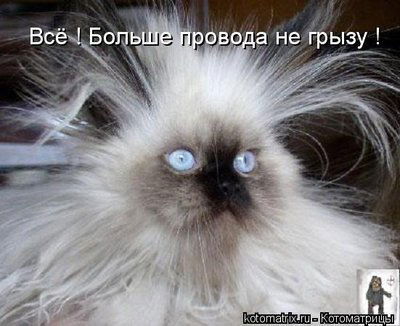 Георгий Громов