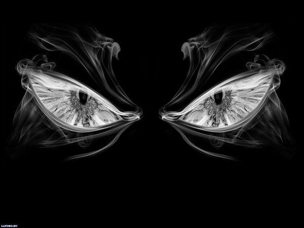 Наталья Нерпина