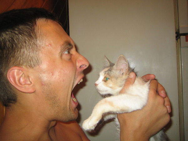 Николай Кучко