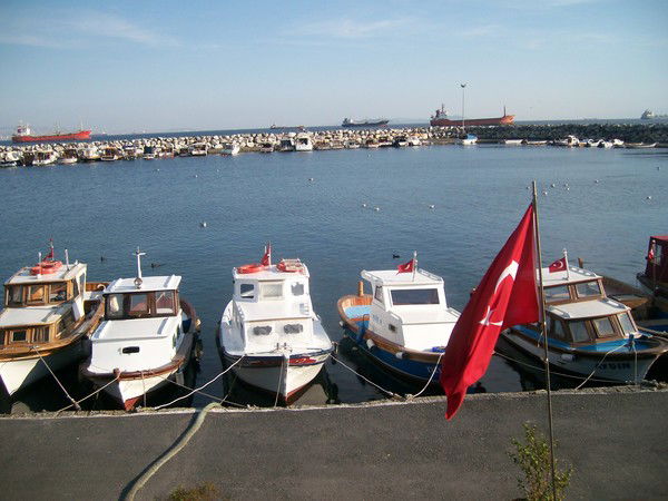 Umar Roziallohu Anhu