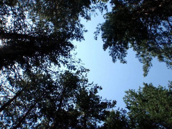 Ирина Колядина