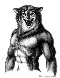 Саня Устенко