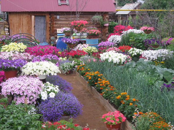 Лидия Петрова