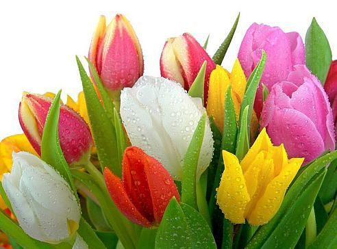 Лилия Карпухина