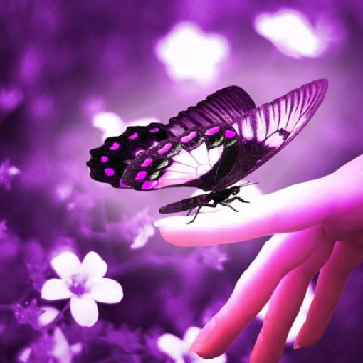 Карина Вяль