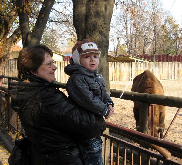 Елена Пясецкая