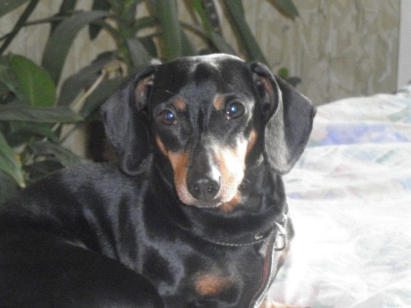 Татьяна Бойко