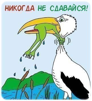 Наталия Мерзлякова