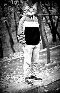 Андрей Белоус