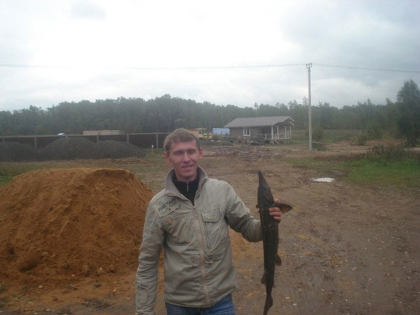 Сергей Красников