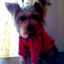 Юлия (-@