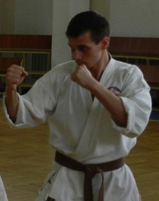 Александр Негин