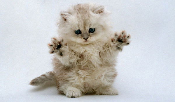 Дарья Мороз