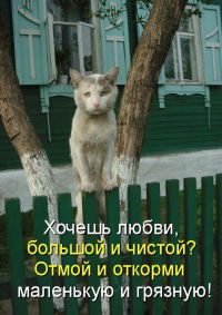 Екатерина Ромова