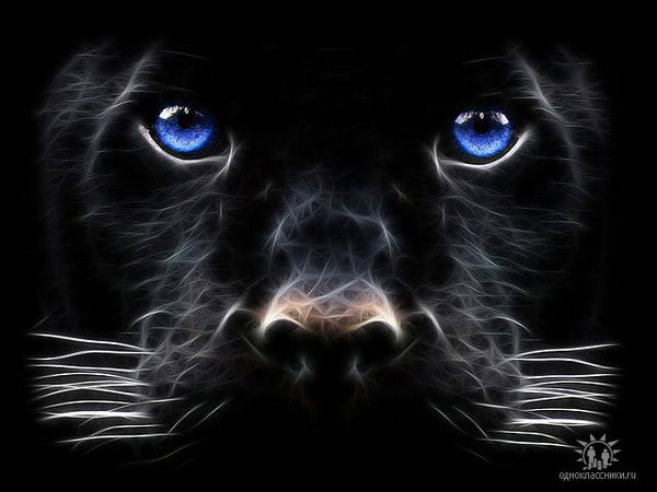 Екатерина Потапова