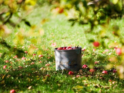 Екатерина Петрова