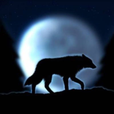 Оля Зимникова