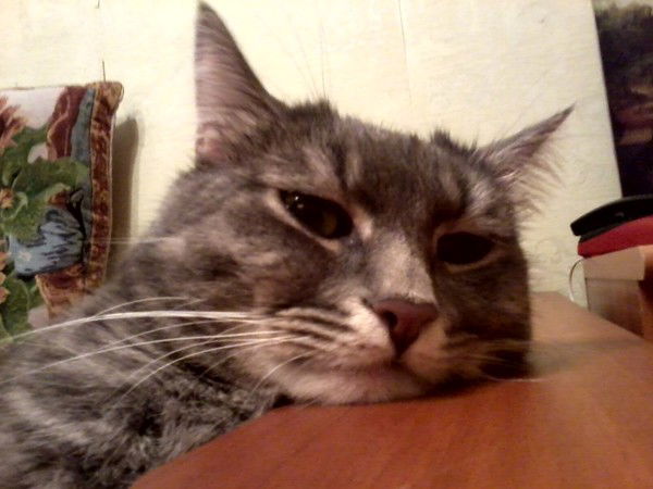 Алёна Скрябина