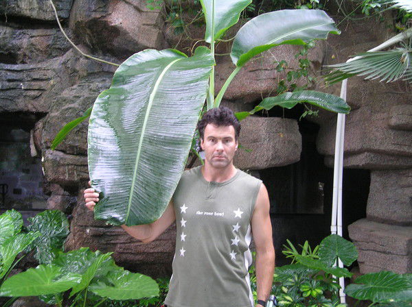 Сергей Лебедев