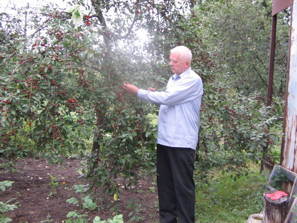 Василий Полевечко