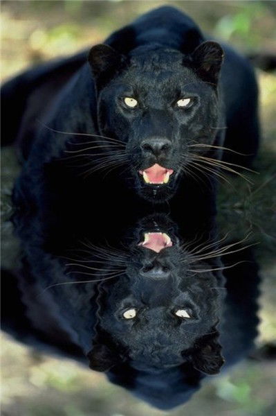 Анна Фатахудинова