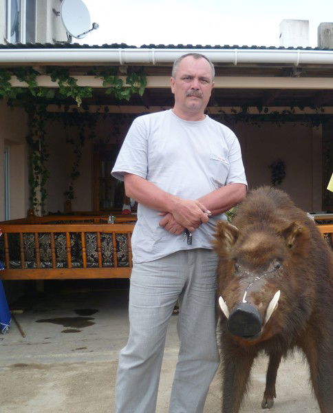 Vladislav Rabchevsky